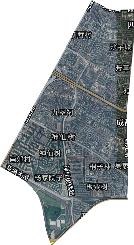 芳草街道卫星图