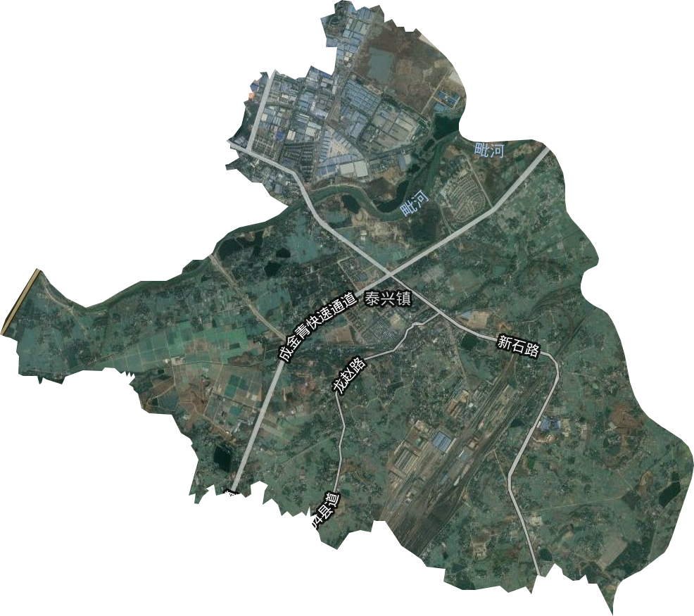 泰兴镇卫星图