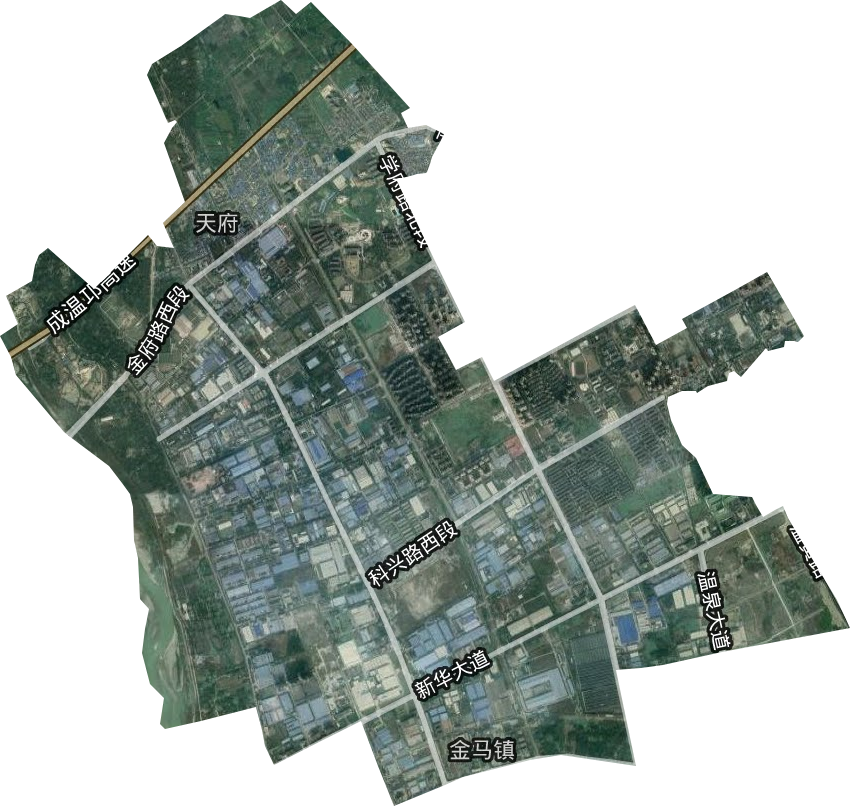 天府街道卫星图