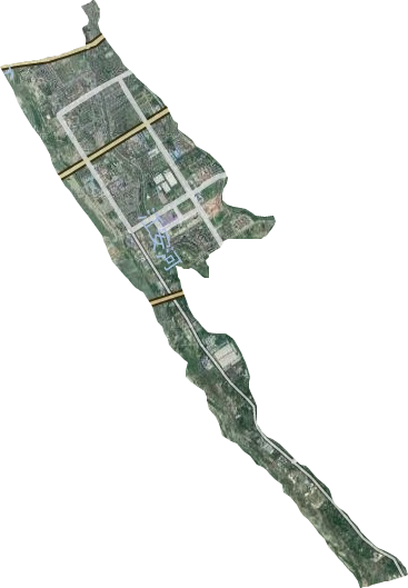 滨江街道卫星图