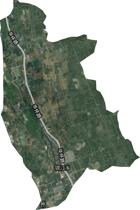 锦江乡卫星图