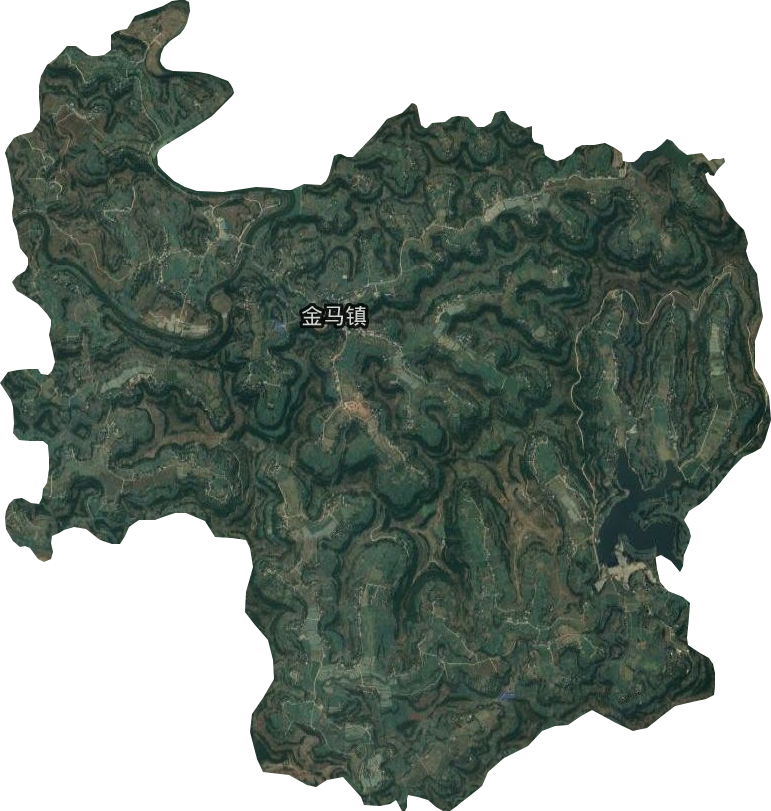 金马镇卫星图