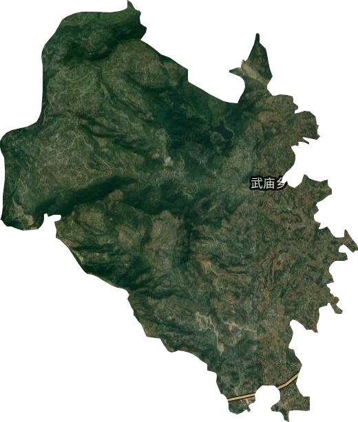 武庙乡卫星图