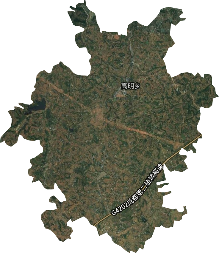 高明乡卫星图