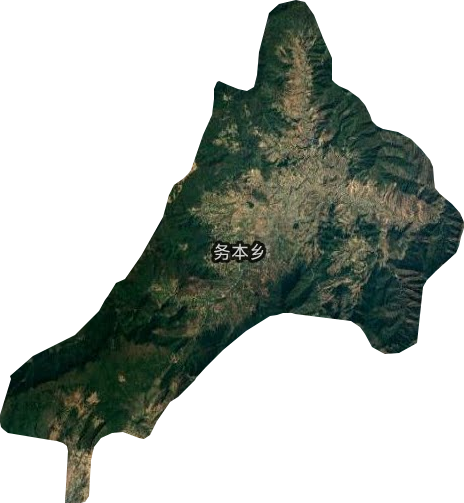 务本乡卫星图