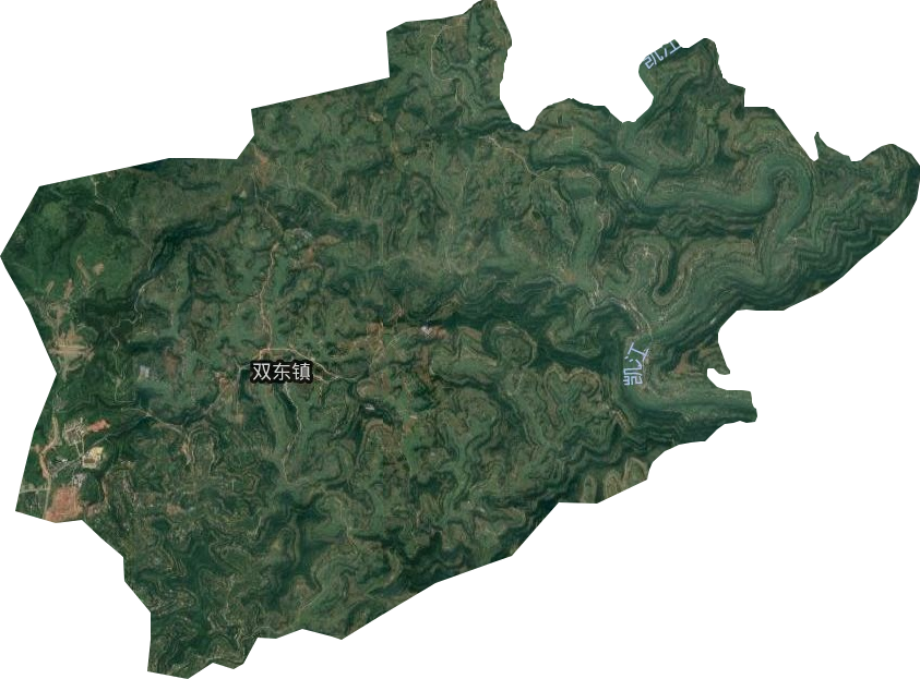 双东镇卫星图