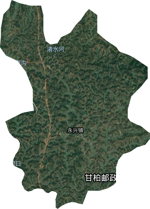永兴镇卫星图
