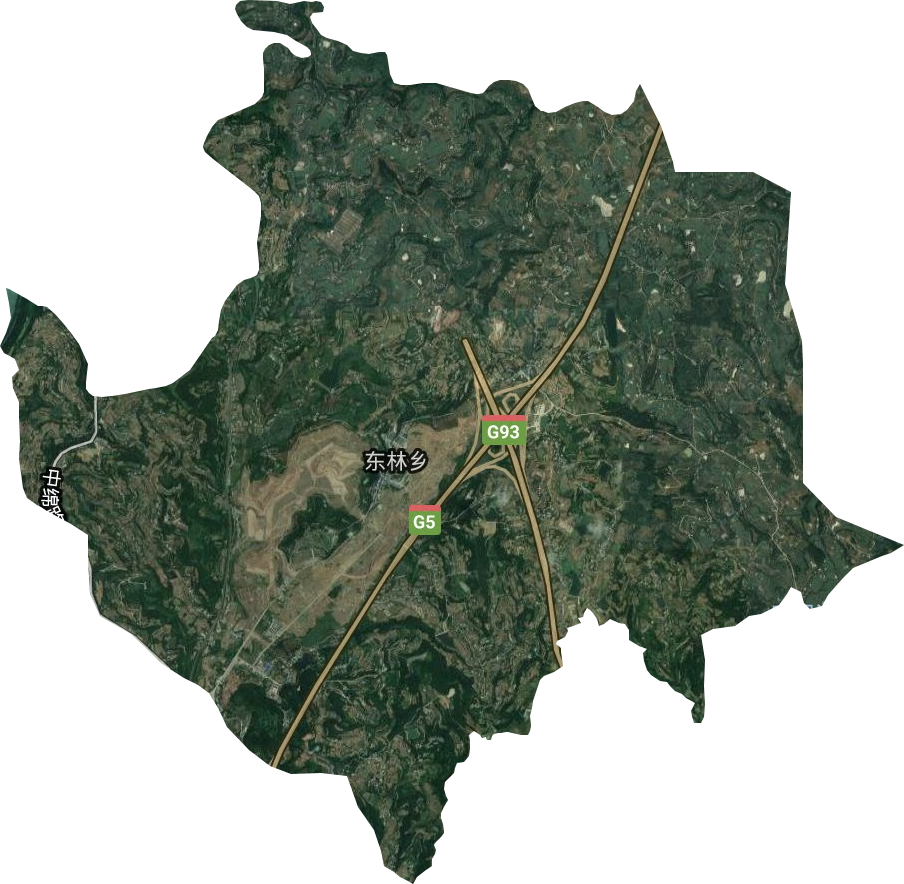 东林乡卫星图