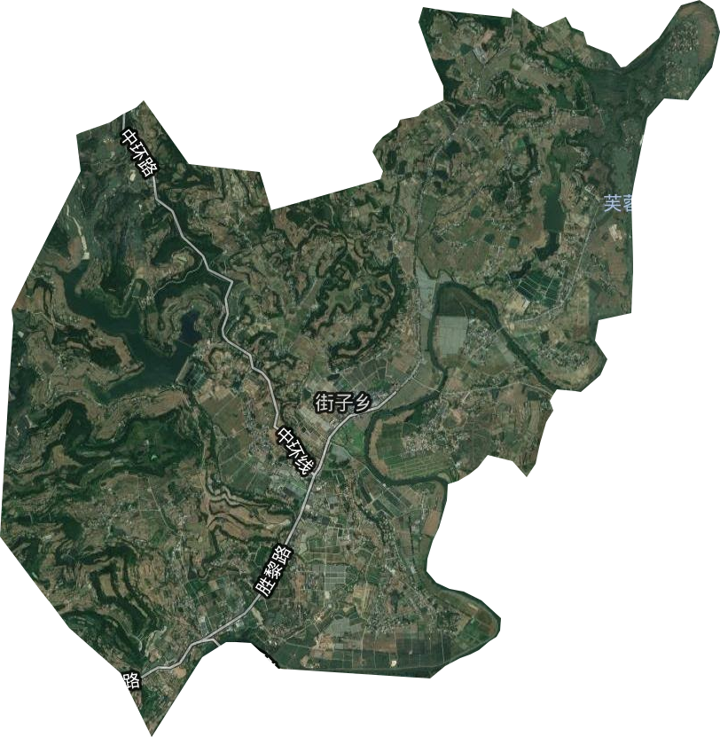 街子乡卫星图