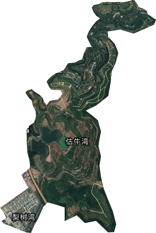 四川省新华劳动教育管理所卫星图