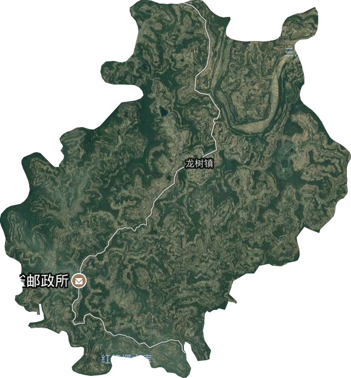 龙树镇卫星图