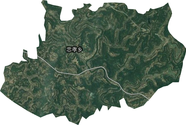 忠孝乡卫星图