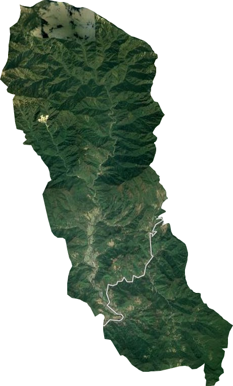 高村乡卫星图