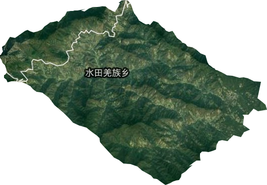 水田羌族乡卫星图