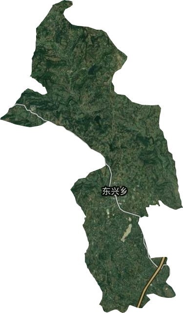 东兴乡卫星图