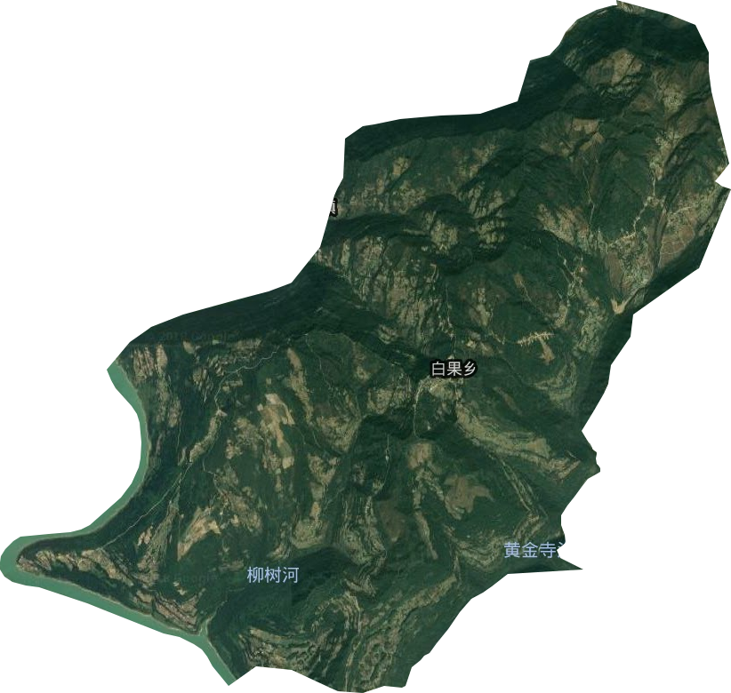 白果乡卫星图
