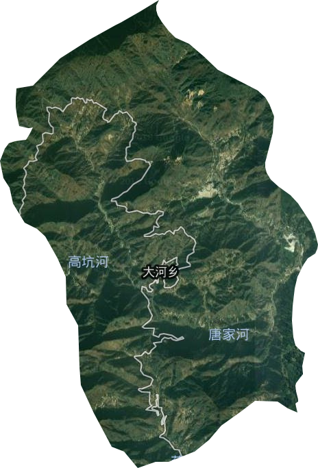 大河乡卫星图