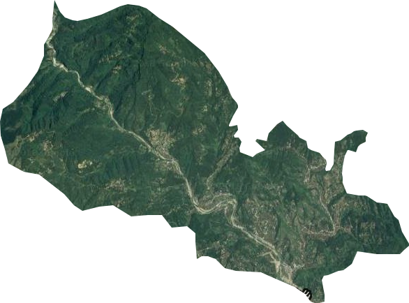 大德乡卫星图