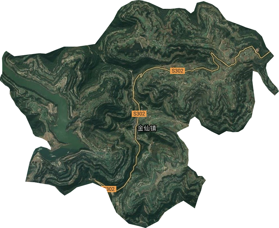 金仙镇卫星图