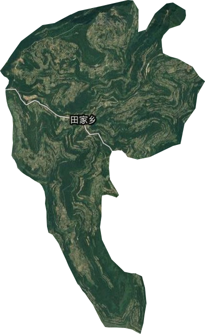 田家乡卫星图