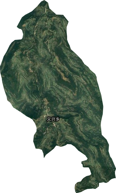 义兴乡卫星图