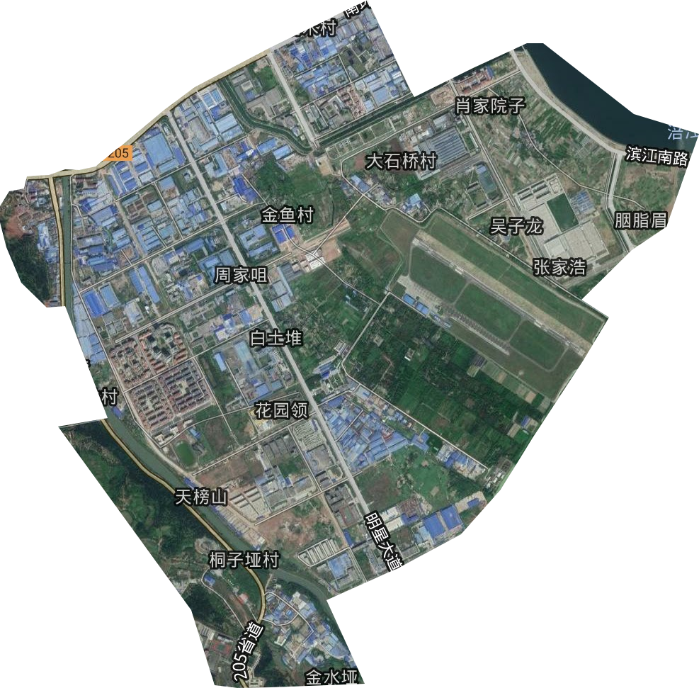 南强街道卫星图