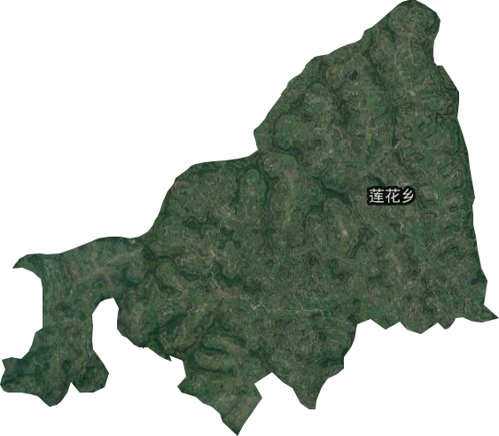 莲花乡卫星图