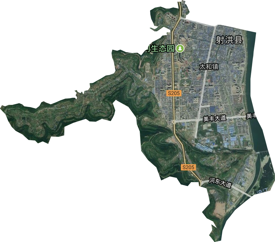 子昂街道卫星图