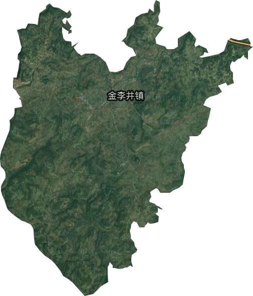 金李井镇卫星图