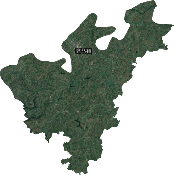 骝马镇卫星图