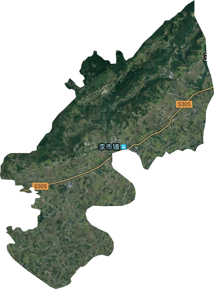 李市镇卫星图