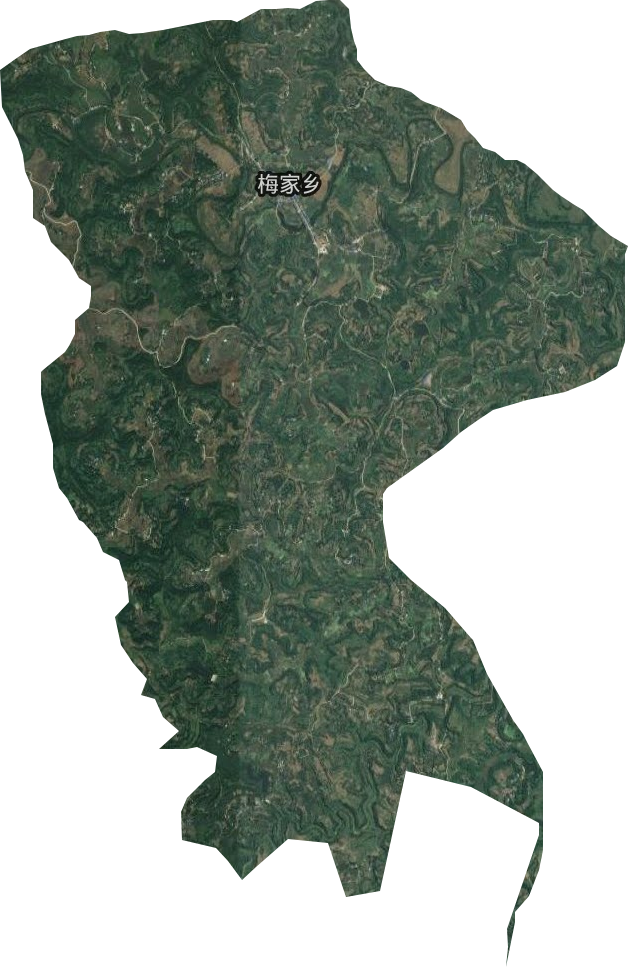 梅家乡卫星图