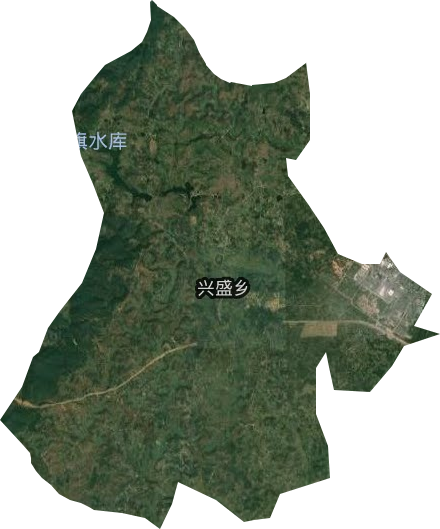 兴盛镇卫星图
