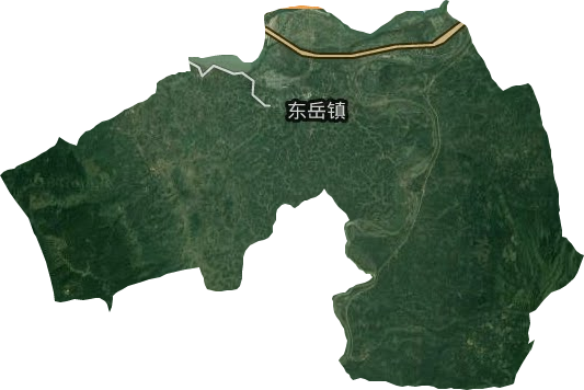 东岳镇卫星图