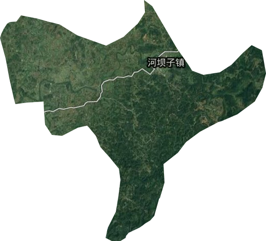 河坝子镇卫星图