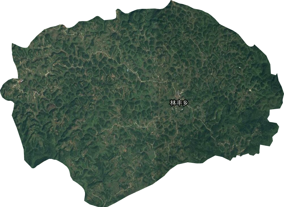 林丰乡卫星图