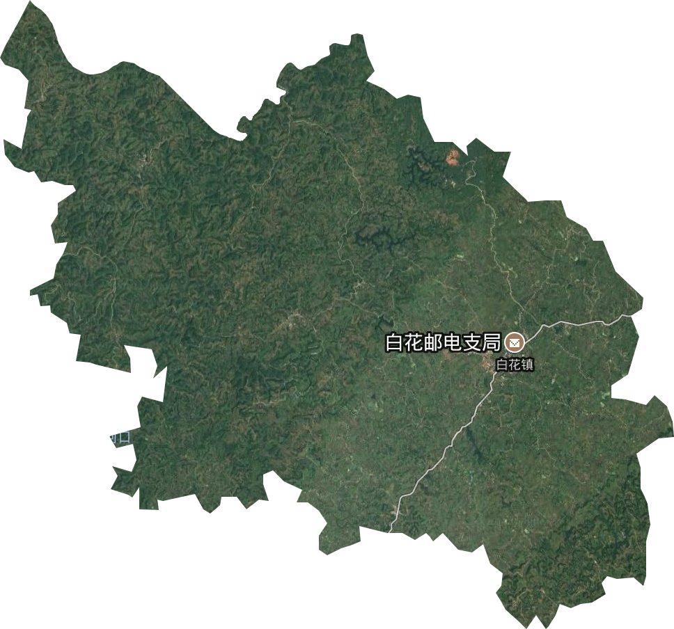 白花镇卫星图