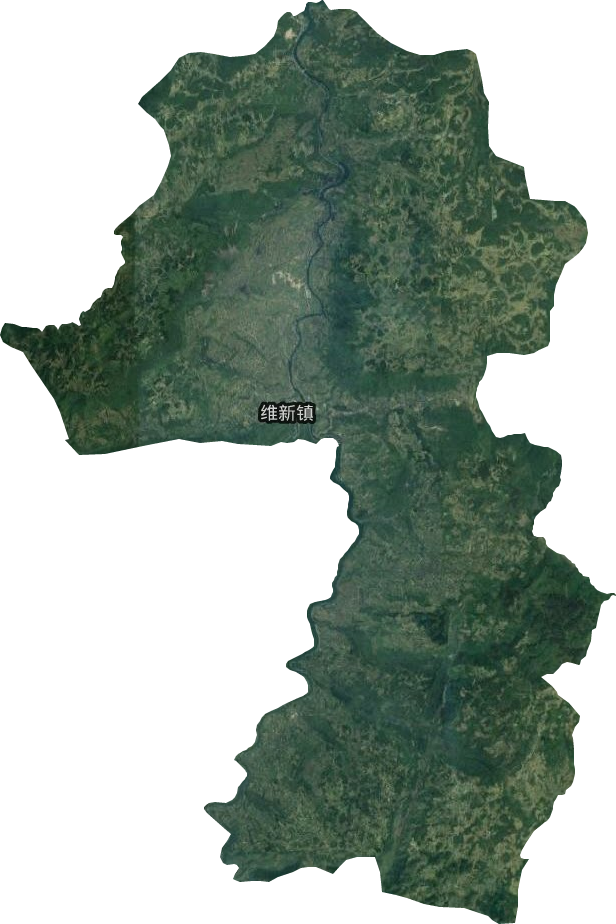 维新镇卫星图