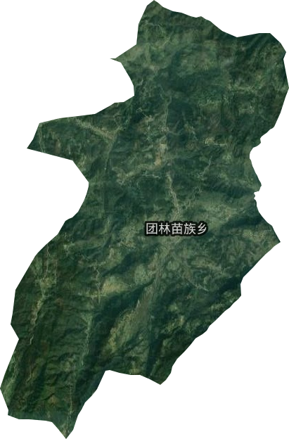 团林苗族乡卫星图