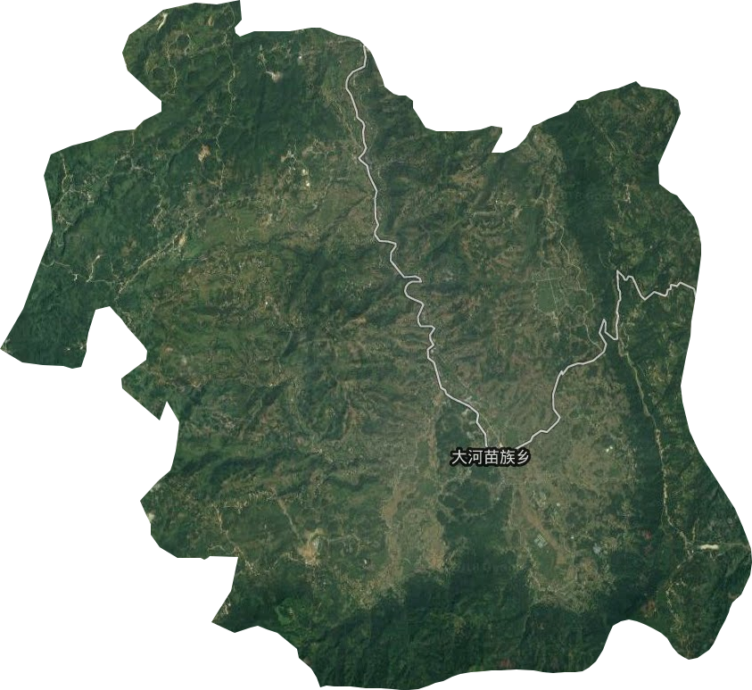 大河苗族乡卫星图