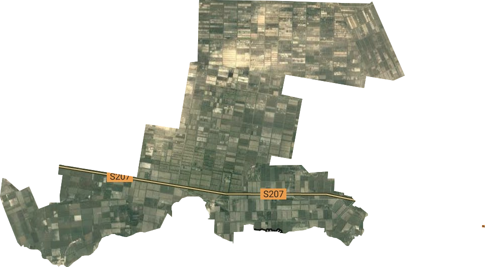 阿拉尔农场卫星图