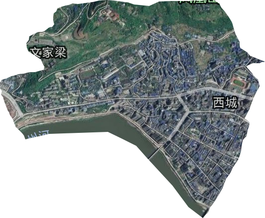 西城街道卫星图