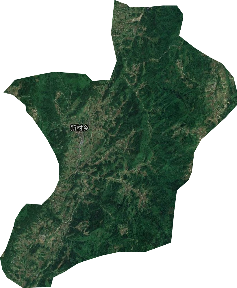 新村乡卫星图
