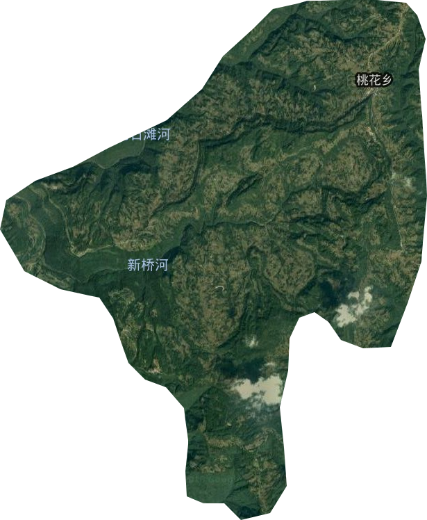 桃花乡卫星图