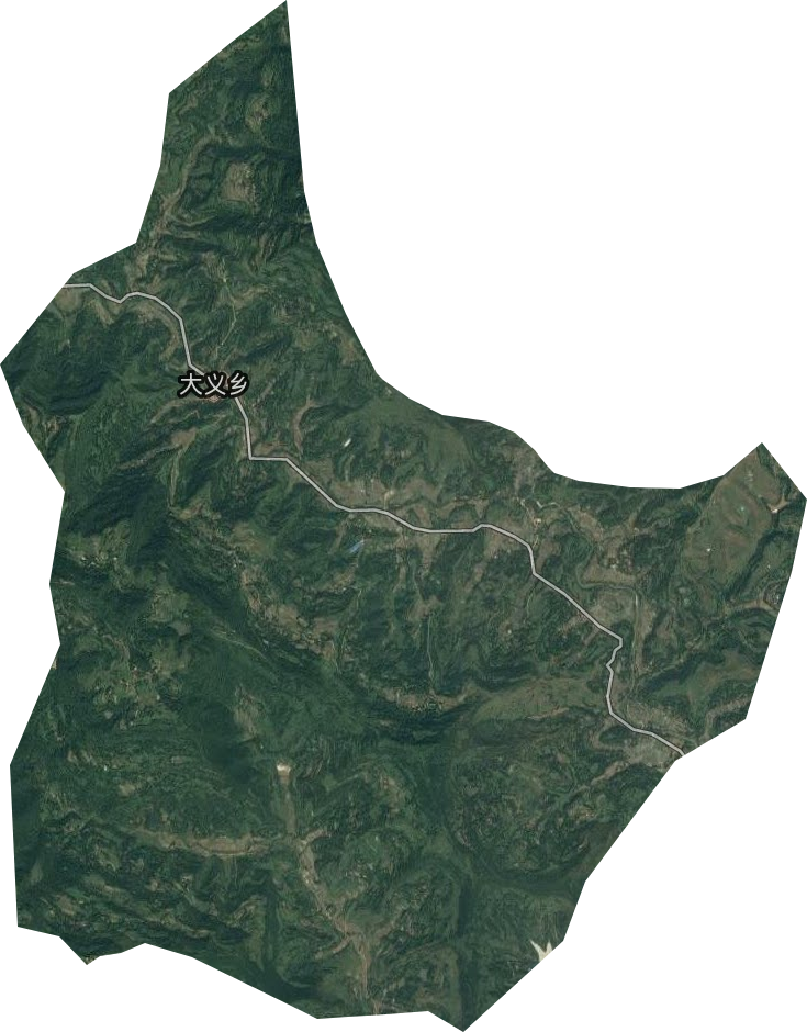 大义乡卫星图