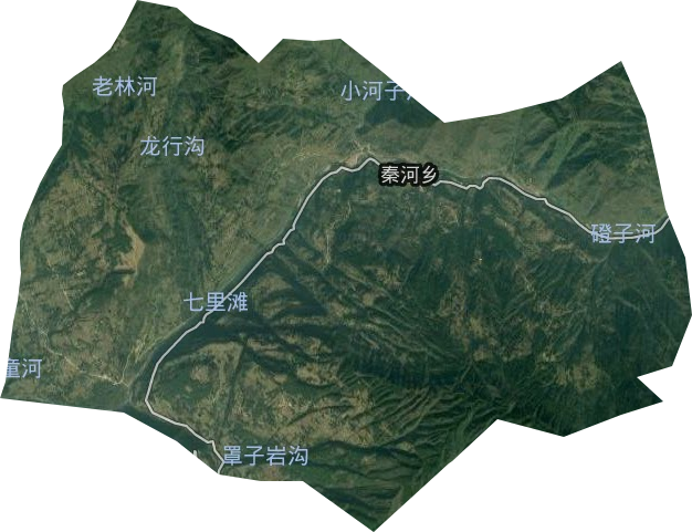秦河乡卫星图