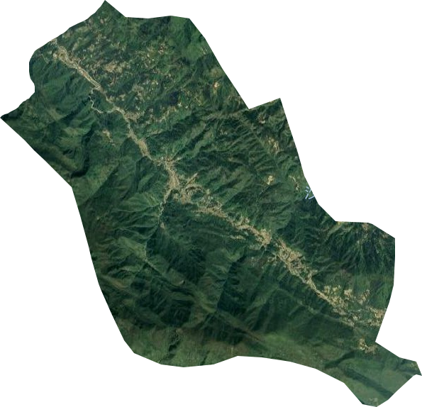紫溪乡卫星图