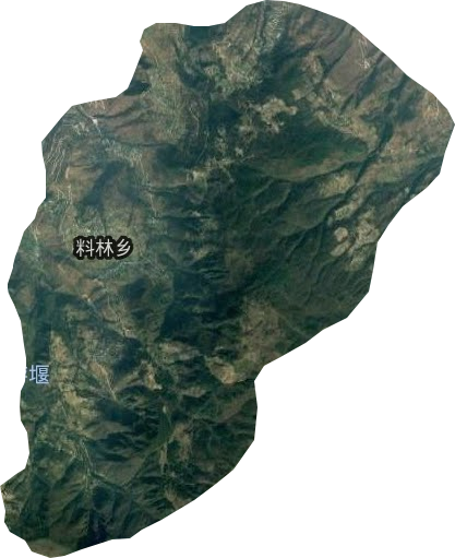 料林乡卫星图