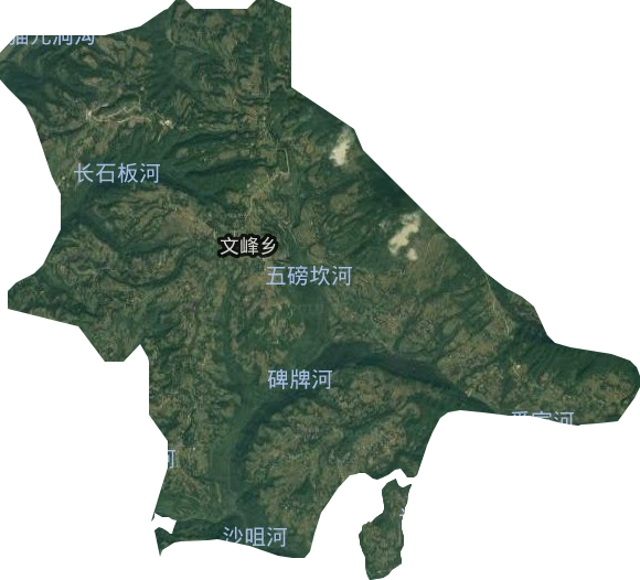 文峰乡卫星图