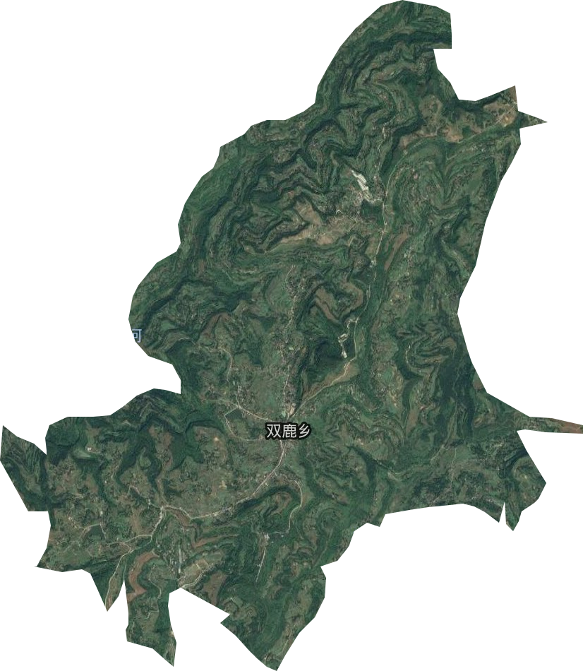 双鹿乡卫星图